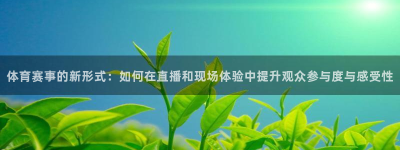 体育赛事的新形式：如何在直播和现场体验中