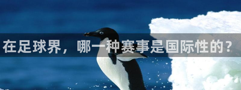 在足球界，哪一种赛事是国际性的？