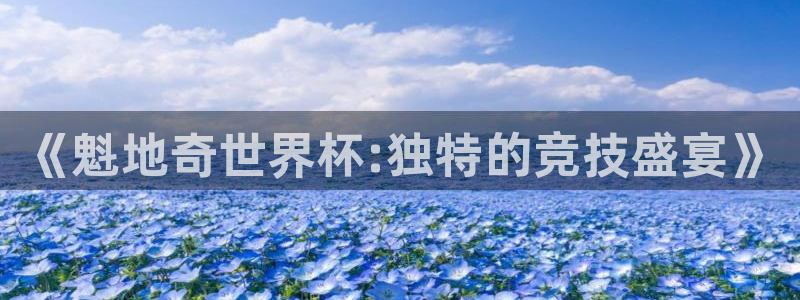 《魁地奇世界杯:独特的竞技盛宴》