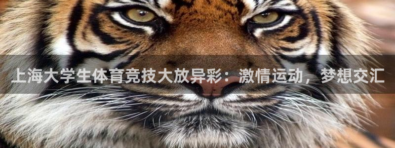 上海大学生体育竞技大放异彩：激情运动，梦