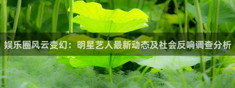 娱乐圈风云变幻：明星艺人最新动态及社会反