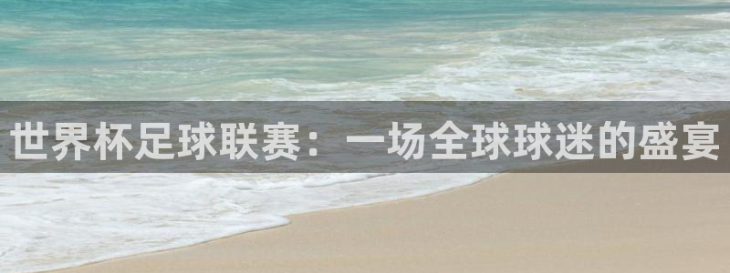 世界杯足球联赛：一场全球球迷的盛宴