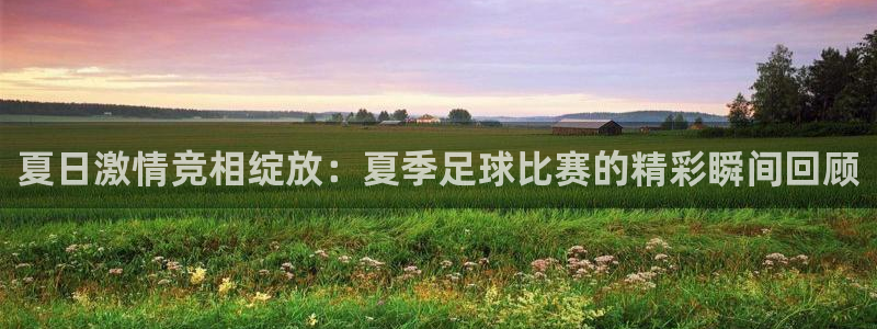 夏日激情竞相绽放：夏季足球比赛的精彩瞬间