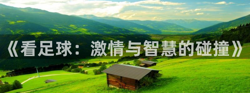 《看足球：激情与智慧的碰撞》