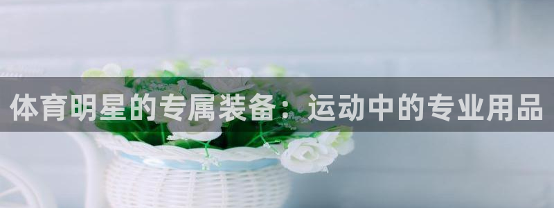 体育明星的专属装备：运动中的专业用品